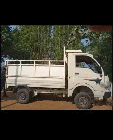 Tata Ace Gold