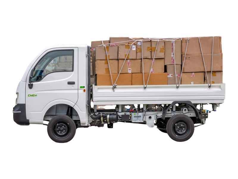 Tata Ace Gold Cng Plus