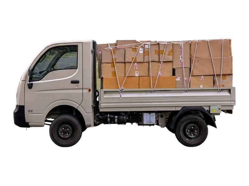 Tata Ace Gold Petrol
