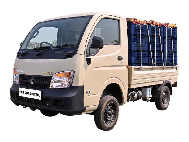 Tata Ace Gold Petrol