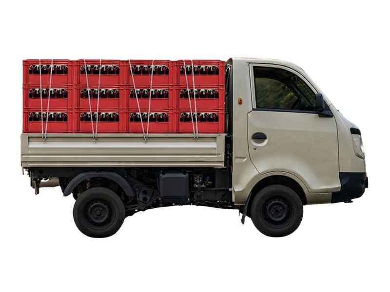Tata Ace Pro Bi-fuel