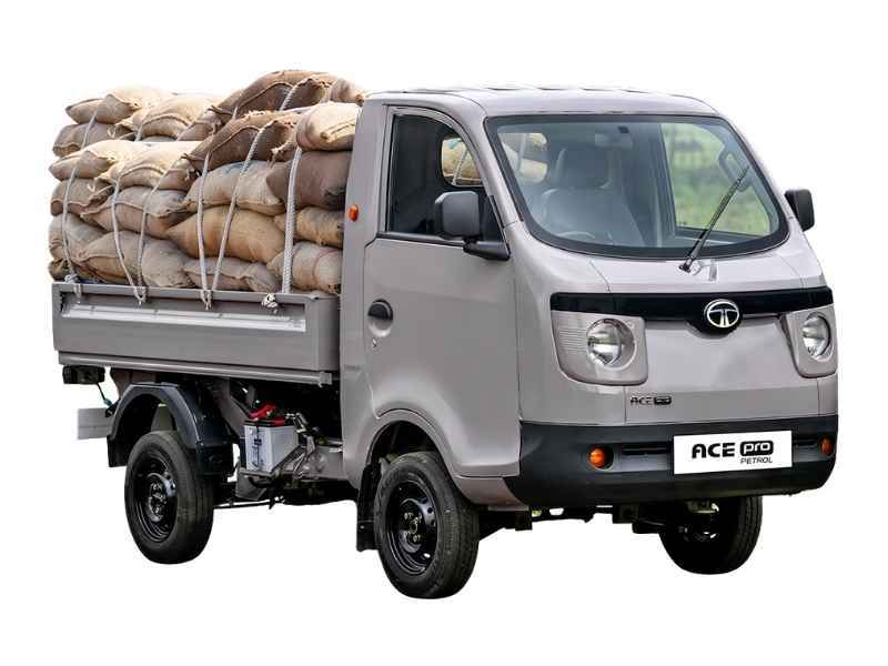 Tata Ace Pro Petrol