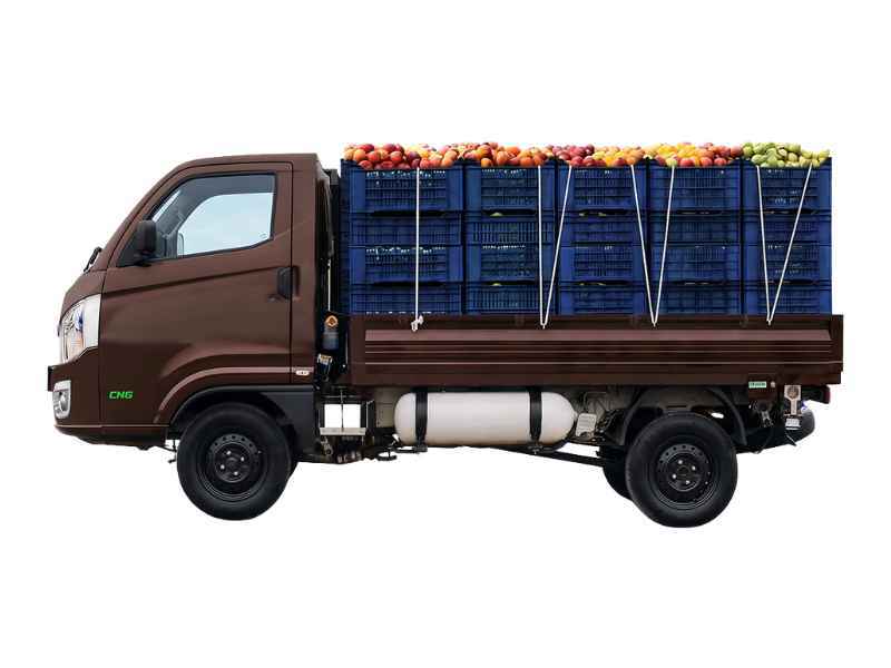 Tata Intra V40