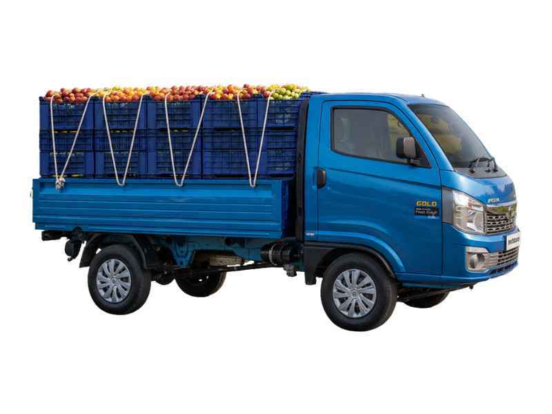 Tata Intra V30 Gold