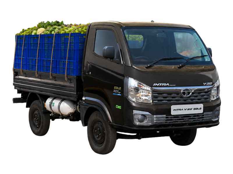 Tata Intra V20 Gold Petrol
