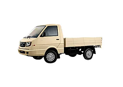 Ashok Leyland Dost